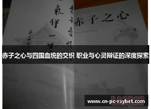 赤子之心与四国血统的交织 职业与心灵辩证的深度探索