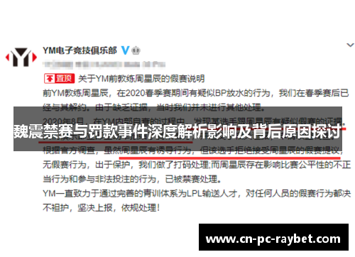魏震禁赛与罚款事件深度解析影响及背后原因探讨 魏震禁赛与罚款事件深度解析影响及背后原因探讨